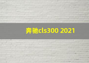 奔驰cls300 2021